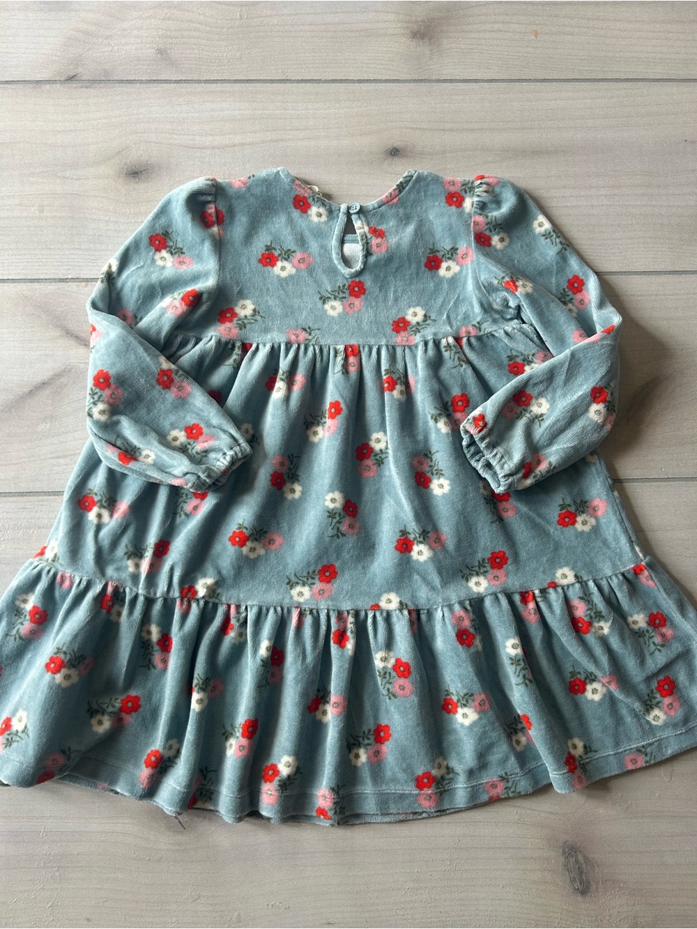 Mini Boden Floral Velour Dress - Picture 4 of 4